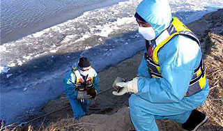 Отрава из Китая может попасть в реки России Отрава из Китая может попасть в реки России