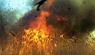 Центр России оказался во власти пожаров Центр России оказался во власти пожаров