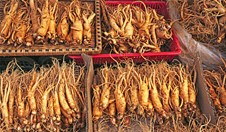 КНДР возвращает долги корешками КНДР возвращает долги корешками