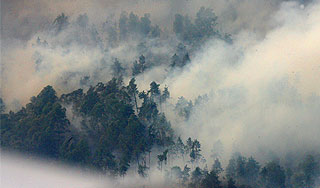 Нижегородцы перешли на особый режим Нижегородцы перешли на особый режим