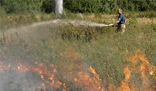 Подмосковье бьет рекорды по числу пожаров Подмосковье бьет рекорды по числу пожаров