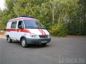 Пассажир иномарки погиб при падении машины в кювет