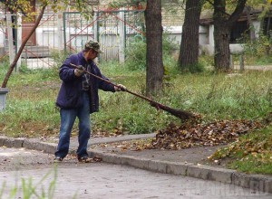 В парке имени 1000-летия Брянска расширили хозяйственный штат