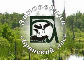 Заповедник «Брянский лес» презентует свой сайт