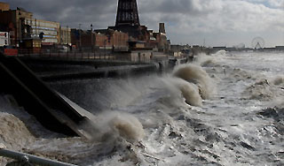 ����� ����� ����� ��������������