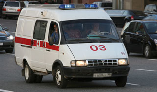 Подарок внучки загрыз бабушку и двух кошек Подарок внучки загрыз бабушку и двух кошек