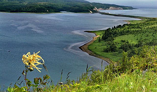 Москва и Токио откровенно обсудили Курилы Москва и Токио откровенно обсудили Курилы