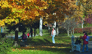 Синоптики объяснили теплую осень в России Синоптики объяснили теплую осень в России