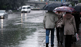 Погода продолжит обманывать природу Погода продолжит обманывать природу