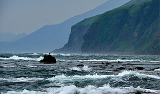 Японский премьер отказался ездить на Курилы Японский премьер отказался ездить на Курилы