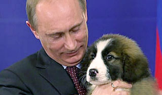 Новой собаке Путина придумали тысячи имен Новой собаке Путина придумали тысячи имен