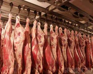 В Брянской области произведено свыше 103 тысяч тонн мяса