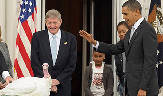 Обама спас жизнь двум птицам Обама спас жизнь двум птицам