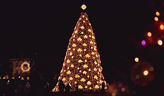 Подросток готовил рождественский теракт Подросток готовил рождественский теракт