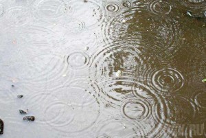 Возле обновленного бульвара 50-летия Октября появились глубокие лужи