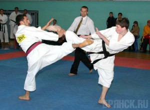 Брянские каратисты стали победителями и призерами Кубка мира