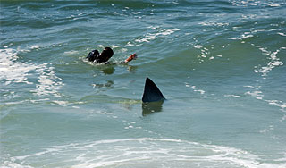 ����� �������� ������ ����� ����� �� �������