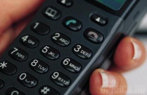 В Управлении лесами появился телефон доверия