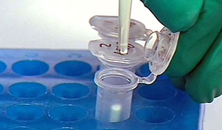 Ученые нашли в озере внеземных существ Ученые нашли в озере внеземных существ