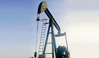 ������ �������� ��������� ���� �� �����