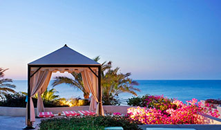 Акулы откусили часть прибыли у египтян Акулы откусили часть прибыли у египтян