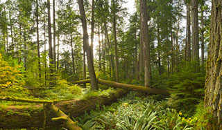 ����� ������� ���������� � ����� ������