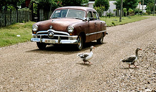 ���� ������� ������ ���� �����