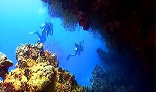 Россиянам оплатят отказ от отдыха в Египте Россиянам оплатят отказ от отдыха в Египте