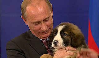 ����� ������ ������ ����� ����� ������