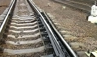 В станице Кущевская убили подростка В станице Кущевская убили подростка