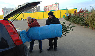 Россияне раскрыли свое отношение к елкам Россияне раскрыли свое отношение к елкам