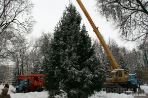 Установлена главная елка Брянска