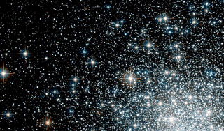 На Землю пролился звездный дождь На Землю пролился звездный дождь