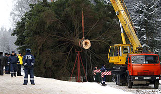 Главная елка России отправилась в Кремль Главная елка России отправилась в Кремль