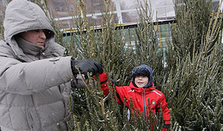 В Москве открываются елочные базары В Москве открываются елочные базары