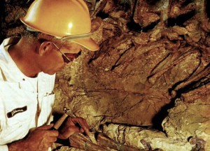 Природные ресурсы не приносят казне дохода