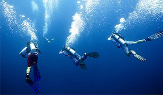 Во Вьетнаме убили российского туриста Во Вьетнаме убили российского туриста