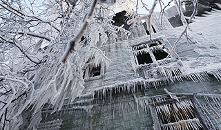Замерзшие деревья ранили десятки москвичей Замерзшие деревья ранили десятки москвичей