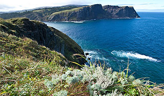 Япония отвергла предложение России Япония отвергла предложение России