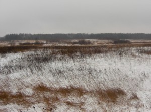 Прошла инвентаризация земель сельхозназначения