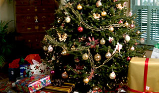 На Земле наступил Новый год На Земле наступил Новый год