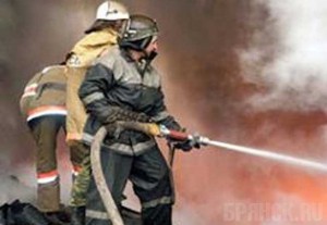 По вине ребенка сгорел двухквартирный дом