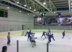 Хоккейная команда «Брянск» проиграла клинскому «Титану»