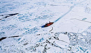 У берегов Сахалина найден третий труп У берегов Сахалина найден третий труп