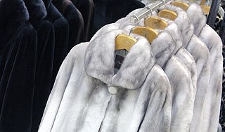 В Москве украли более 100 дорогих шуб В Москве украли более 100 дорогих шуб
