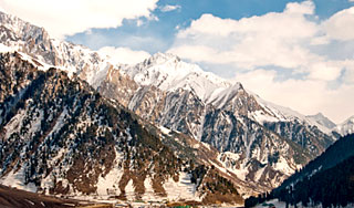 ���������� �������� ��������� � ����� �����