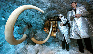 ������ ��������� �������� � 2015 ����