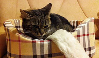 � ��� ���� ��������� ��������� � ����