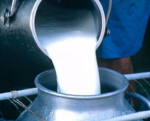 Областные власти потребовали увеличить надои в Климовском районе