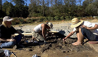 "������ ��������" ����� �������� ��������